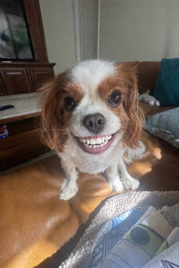 Charlie's photo