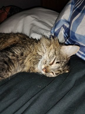 Mama's photo